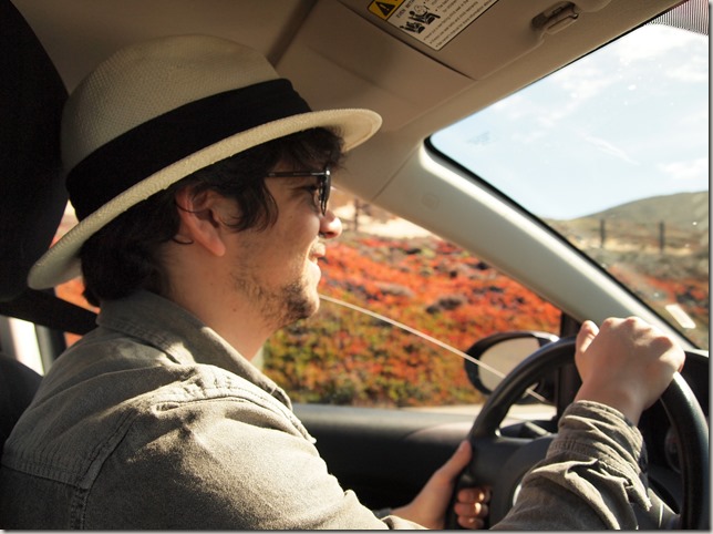 Driving the Pacific Highway
