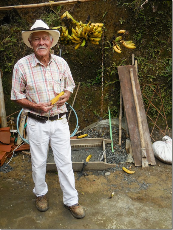 Don Elias coffee plantation