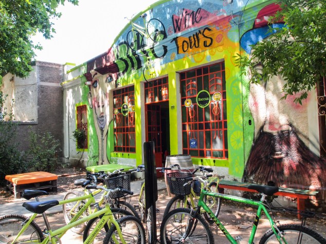 Bacchus bikes Mendoza