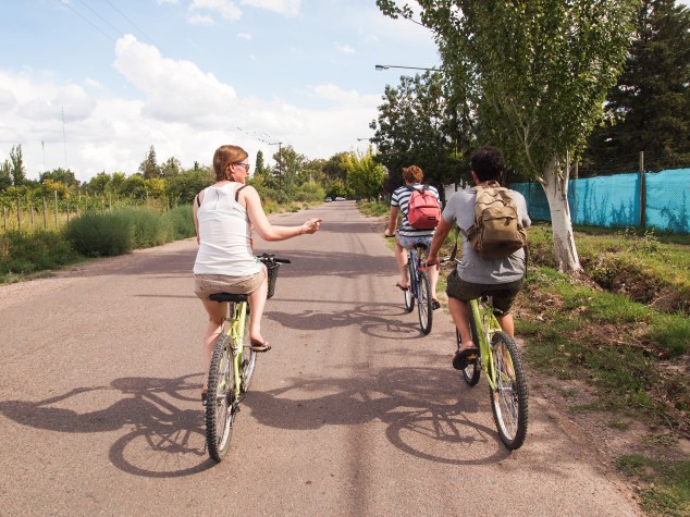 Mendoza bike tour