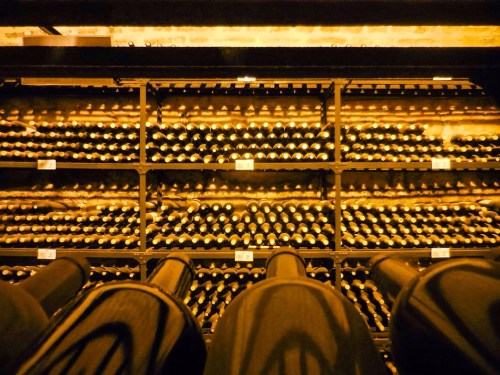 Wine collection at Alta Vista