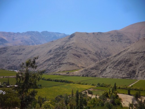 Elqui Valley