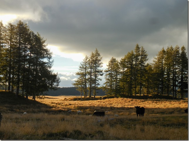 Camping in New Zealand Camping in New Zealand